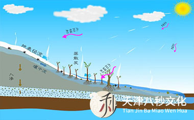 社科院融雪型洪水课件动画